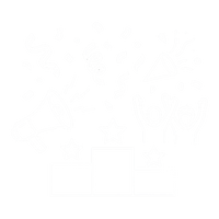 A Bigger Celebration